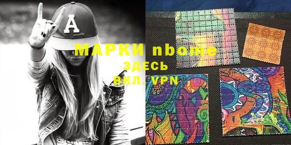 индика Алексин