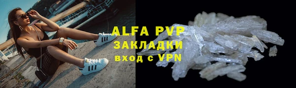 индика Алексин