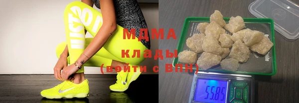 индика Алексин