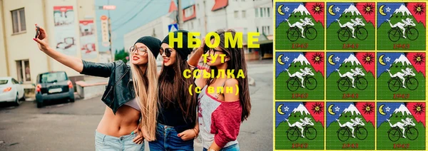 индика Алексин