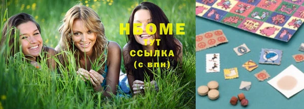 индика Алексин
