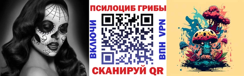 Галлюциногенные грибы Psilocybine cubensis  купить наркотики сайты  Дзержинский 